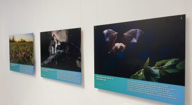 IMG_2836